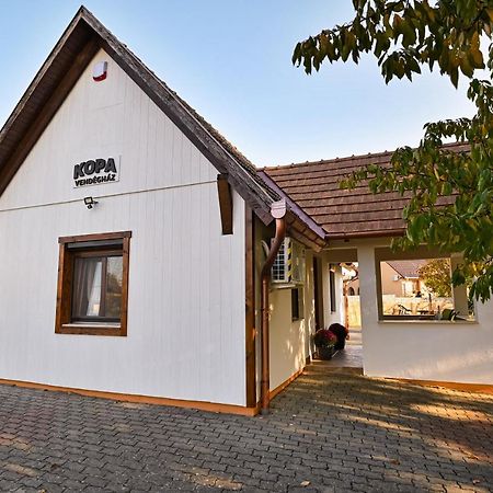 Kopa Vendeghaz Lägenhet Szigetvár Exteriör bild